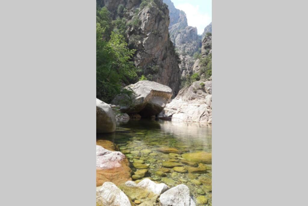 Appartement Les Pieds Dans L'Eau 300 M Plage - 2 Piscines Linguizzetta Esterno foto